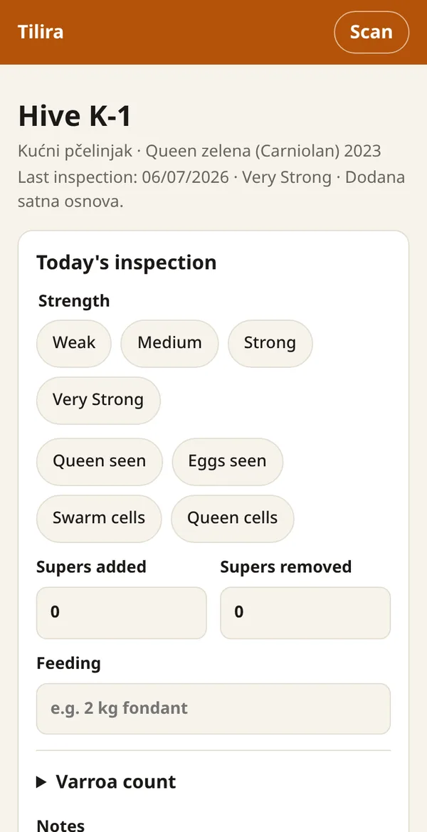 Recording an inspection on the phone